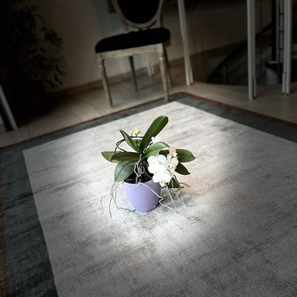 Anallergico per Sala 200x140