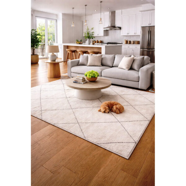 Tappeto soggiorno Tappeto Berbero bianco e marrone a griglia 300x200